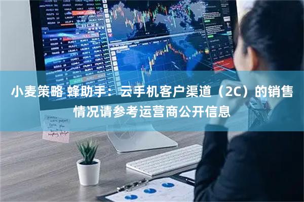小麦策略 蜂助手：云手机客户渠道（2C）的销售情况请参考运营商公开信息