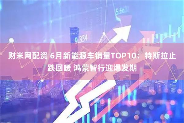 财米网配资 6月新能源车销量TOP10：特斯拉止跌回暖 鸿蒙智行迎爆发期