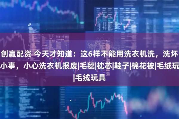 创赢配资 今天才知道：这6样不能用洗衣机洗，洗坏是小事，小心洗衣机报废|毛毯|枕芯|鞋子|棉花被|毛绒玩具